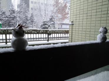 ♪ちゃんとらの一言♪　雪だるま｜「フラワーショップフミ」　（北海道北見市の花キューピット加盟店 花屋）のブログ